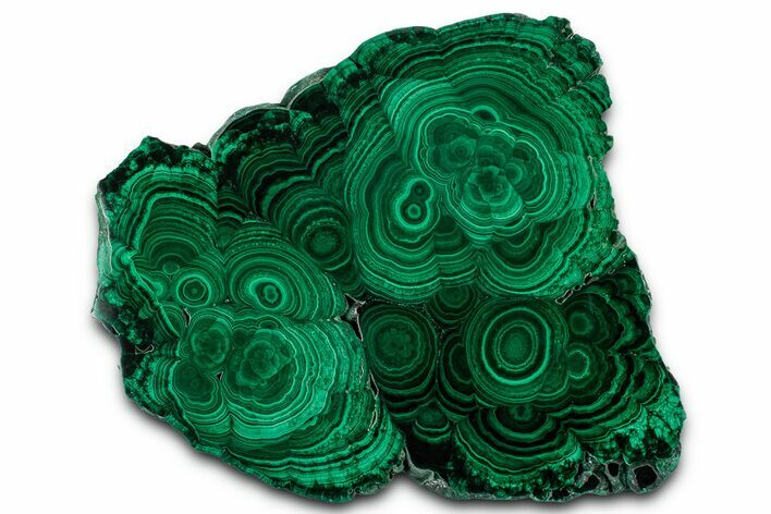 Flowery Polished Malachite Slab - DR Congo #350838